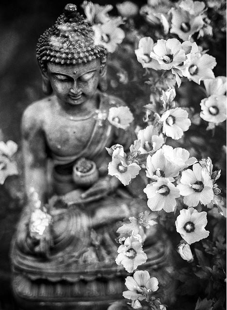 Unlocking the Power of Feng Shui: A Joyful Journey to Better Health at Home