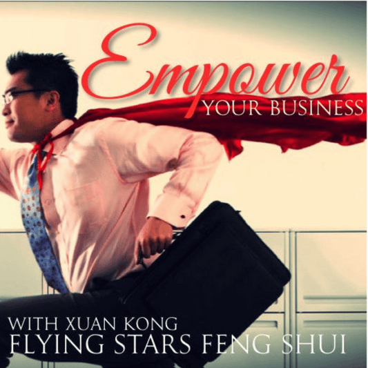 Professional and Personalised Small Business Feng Shui Report